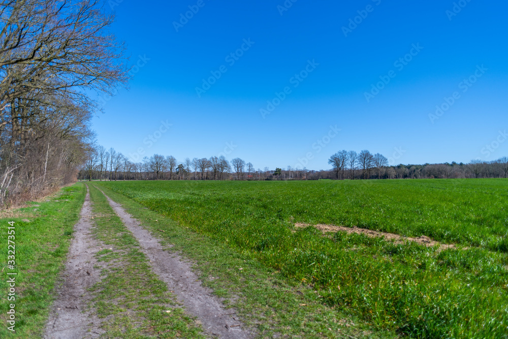 a wide shot of fields during a  bright cloudless day