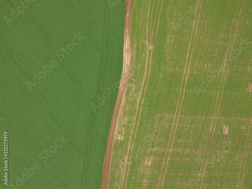 Overhead image of two soybean crops at different stages