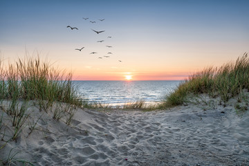 Foto auf Leinwand Schlafzimmer Sanddünen am Strand bei Sonnenuntergang  © eyetronic