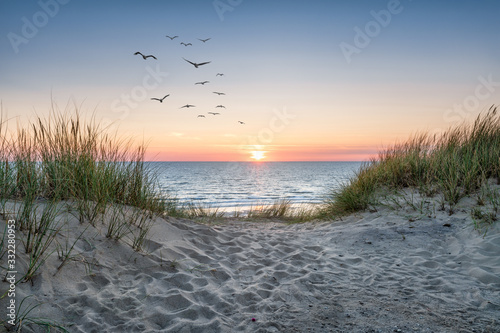 Sand dunes on the beach at sunset © eyetronic