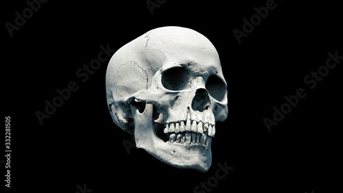 Human skull on Rich Colors a Black Isolated Background. The concept of death, horror. A symbol of spooky Halloween. 3d rendering illustration.