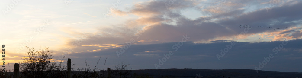 Fototapeta premium Tree against the setting sun. Landscape with bloody sunset. The terrain in southern Europe. Tragic gloomy sky. Purple-magenta clouds.