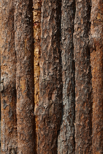 Fototapeta Naklejka Na Ścianę i Meble -  Old wooden texture. Wooden background.