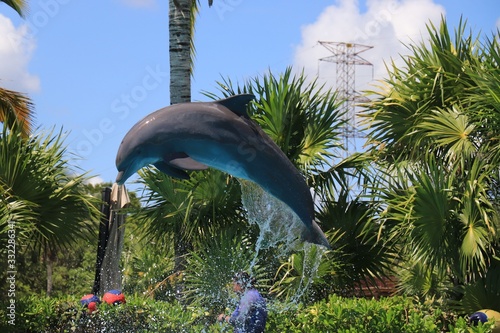 Un Delfin Saltando Feliz