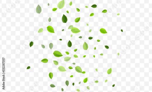 Mint Foliage Vector Backdrop. Green Leaves Swirl 