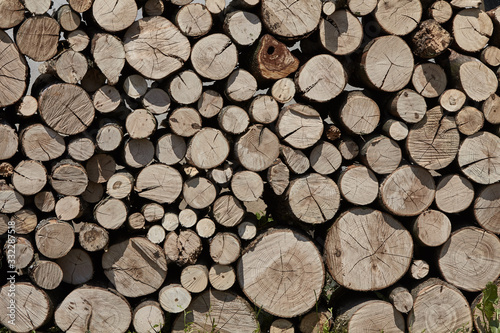 Firewood background. Old wooden texture.