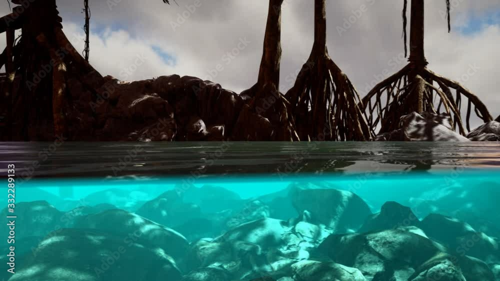 Above and below the sea surface near mangrove trees