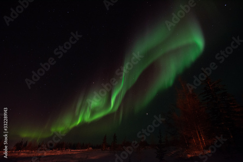 The northern lights shine strong in the sky over the boreal forest near Churchill, Manitoba