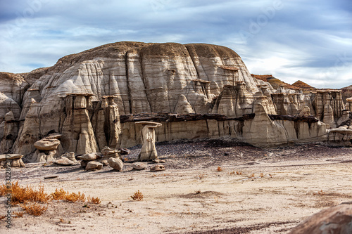 Bisti Badlands New Mexico Petrified Log in Formation photo