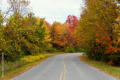 Striking fall foliage on the road near Wellesley Island State Park  New York U.S.A