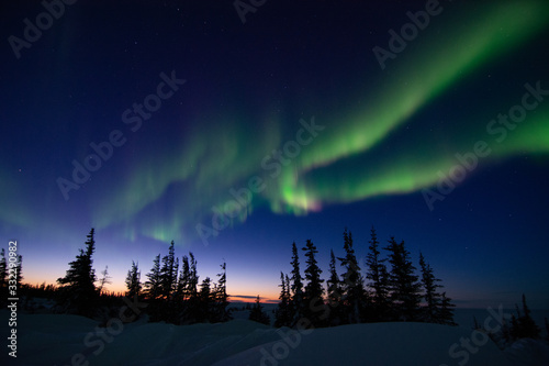 Obraz na płótnie northern lights aurora borealis in churchill manitoba canada