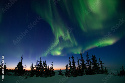 northern lights aurora borealis in churchill manitoba canada