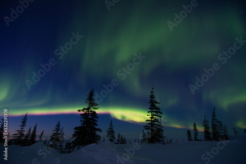 Wallpaper Mural northern lights aurora borealis in churchill manitoba canada Torontodigital.ca