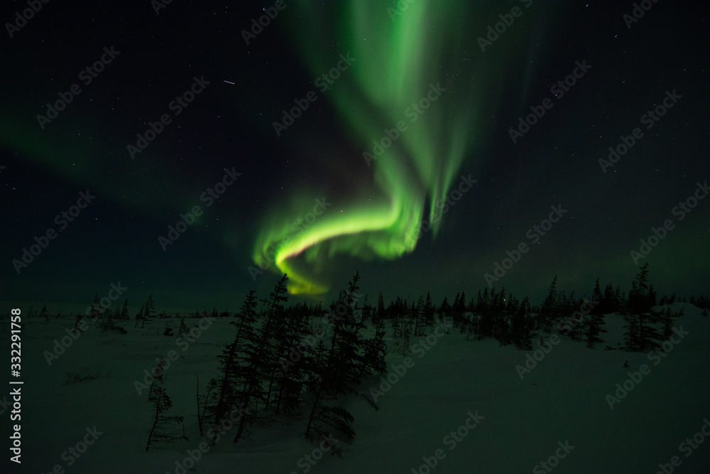 northern lights aurora borealis in churchill manitoba canada