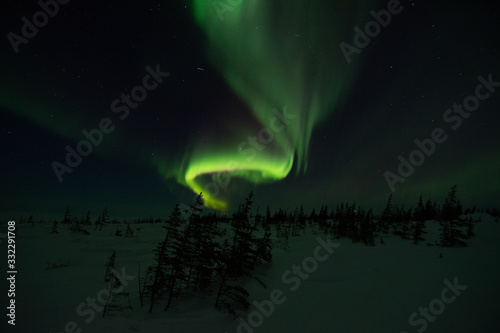northern lights aurora borealis in churchill manitoba canada © Wandering Bear