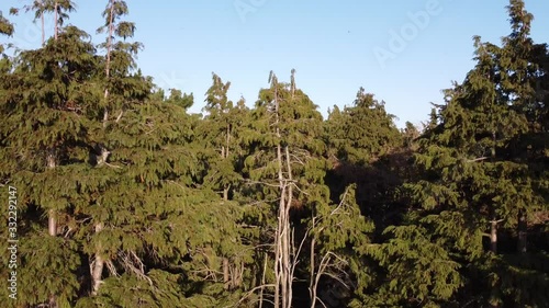 aerial video clip in phoenix park
