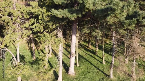 aerial video clip in phoenix park