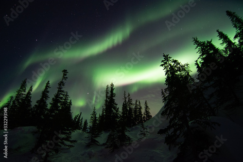 Fotografía northern lights in churchill manitoba canada