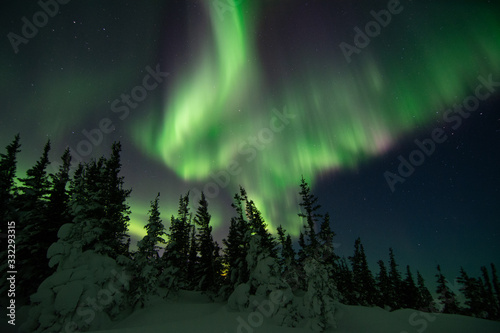 northern lights in churchill manitoba canada