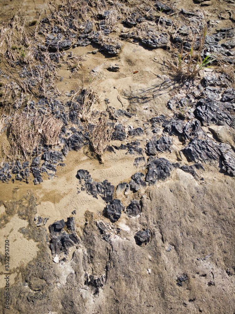 2020 shocking sight. Miracle fossils. A scene created by lava flowing