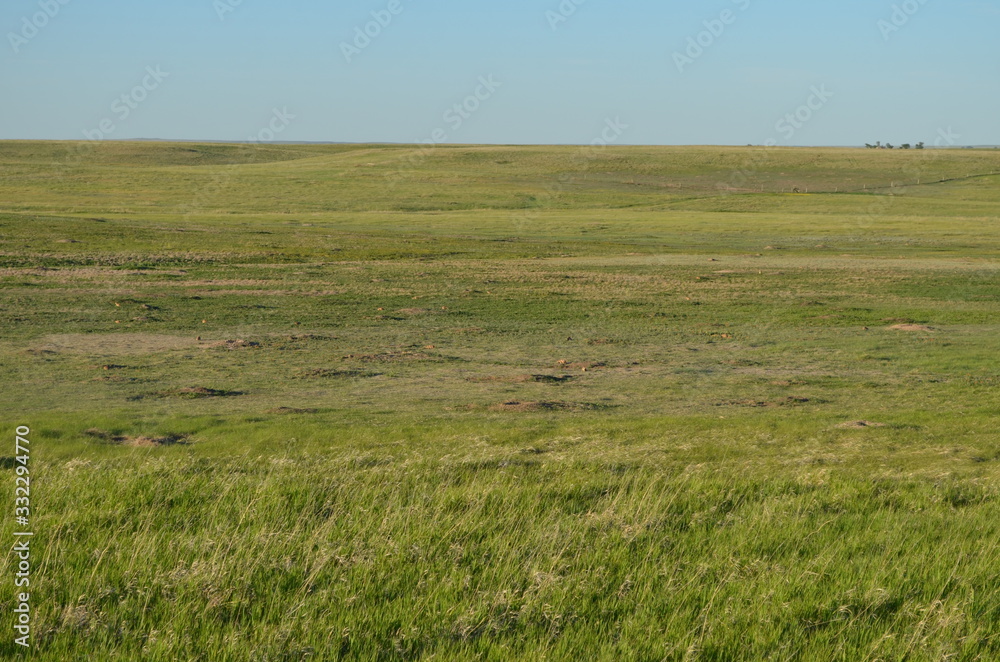 Late Spring in South Dakota: Prairie Dog Town Near Burns Basin Overlook Along the Loop Road in Badlands National Park