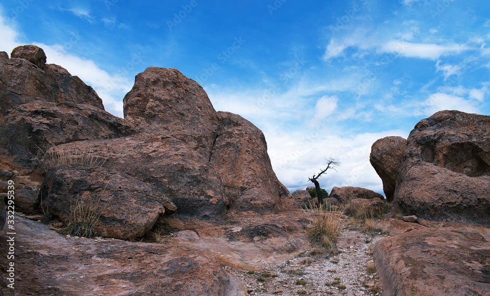 Sculptured rocks created by erosion to create City of Rocks New Mexico