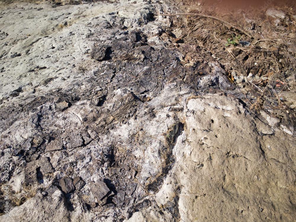 2020 shocking sight. Miracle fossils. A scene created by lava flowing