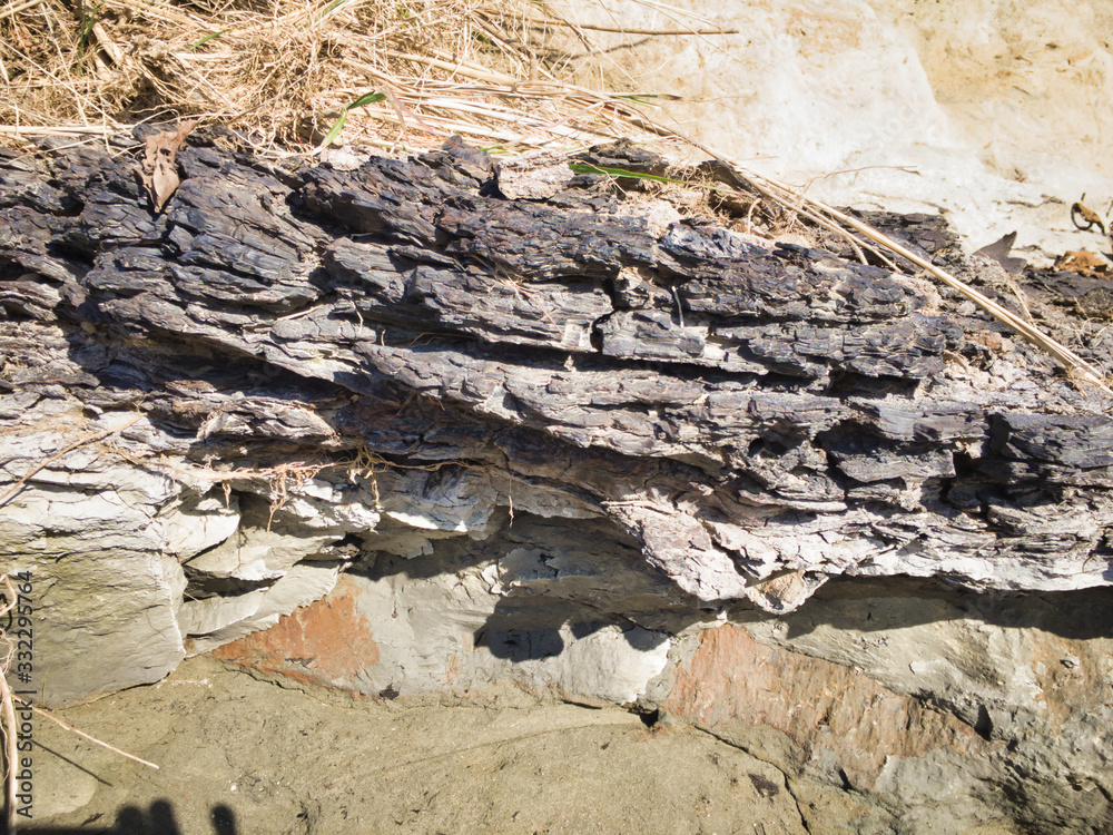 2020 shocking sight. Miracle fossils. A scene created by lava flowing