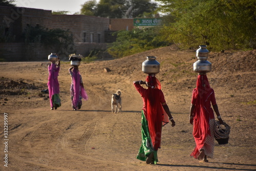 インドのラジャスタン州 ジャイサルメールのクーリー村 水瓶を頭に乗せて運ぶ、インド人女性 民族衣装のサリーを着て働く、美しい姿 道路を歩く野良犬