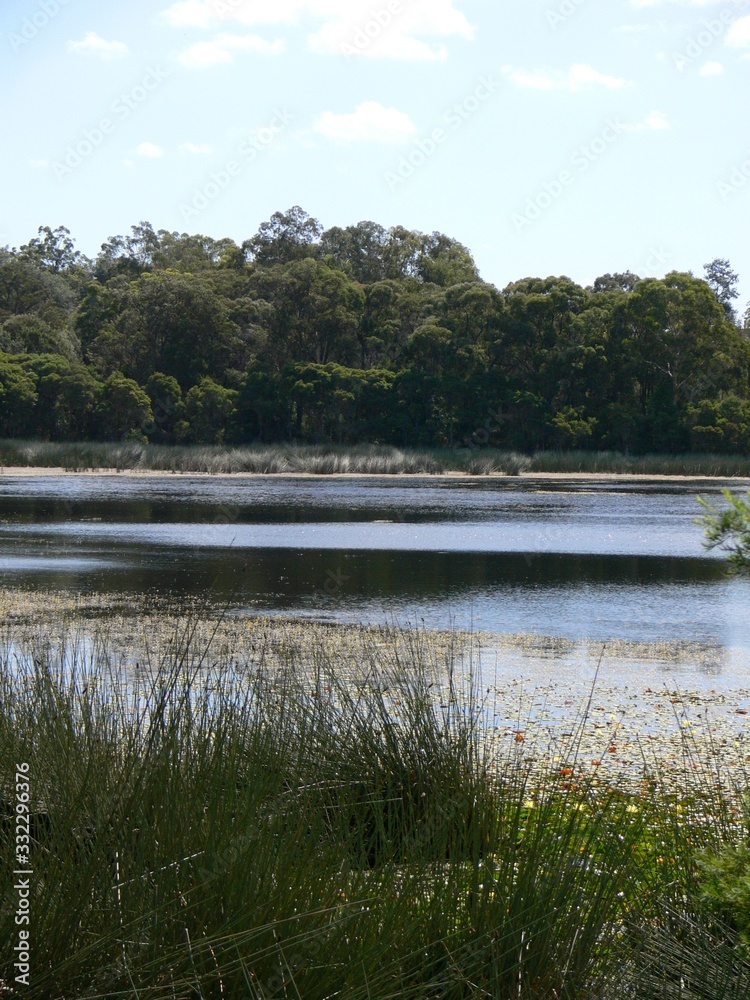 A view of the Glenbrook Lagoon in the Blue Mountains west of Sydney