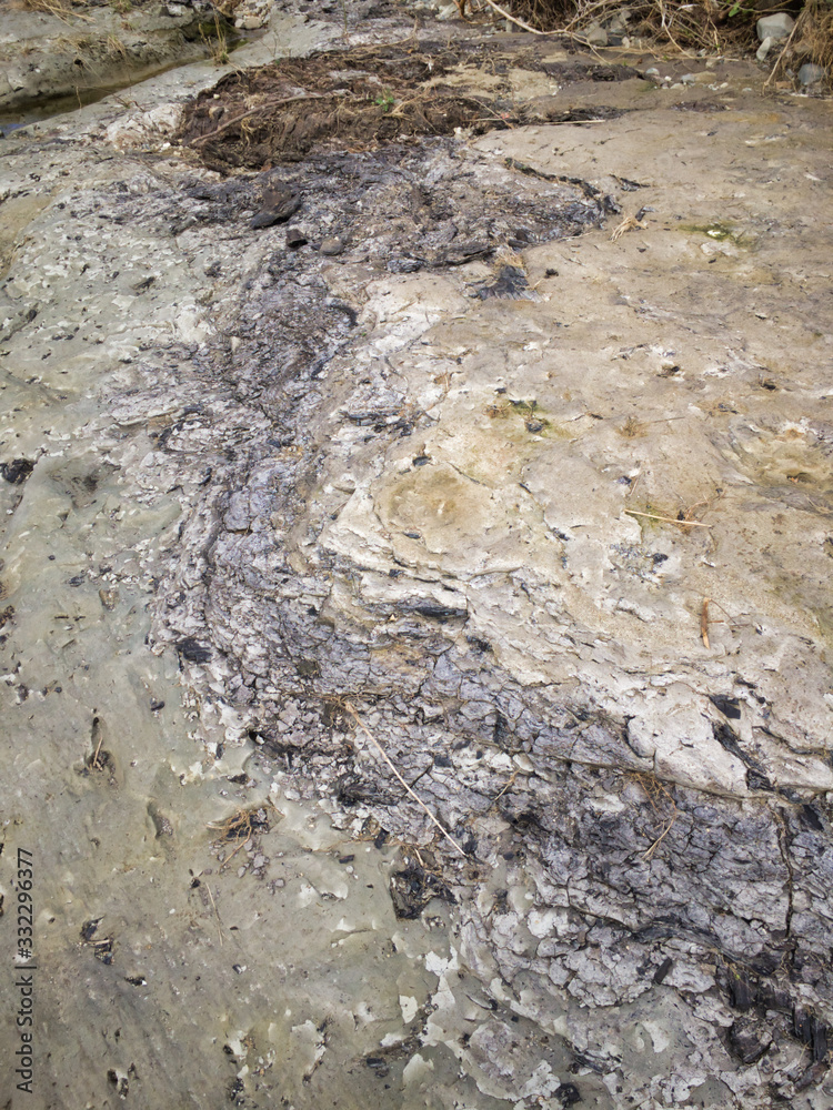 Fototapeta 2020 shocking sight. Miracle fossils. A scene created by