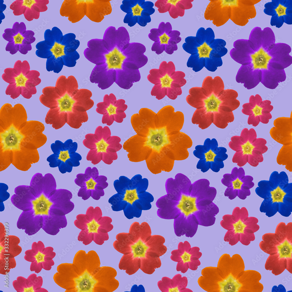 Verbena. Illustration, texture of flowers. Seamless pattern for continuous replication. Floral background, photo collage for textile, cotton fabric. For use in wallpaper, covers