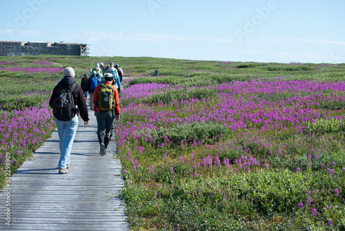 group of people out for a hike in churchill manitoba photo