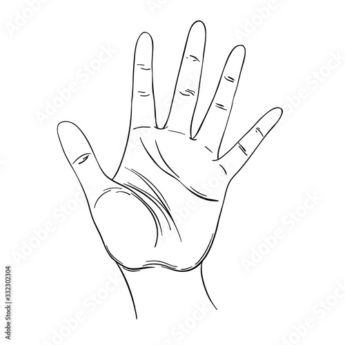 Open hand. Human palm. Hand drawn illustration. Palmistry vector illustration. Ink style tattoo flash design. Vector isolated on white. Astrology, Sacred Spirit.