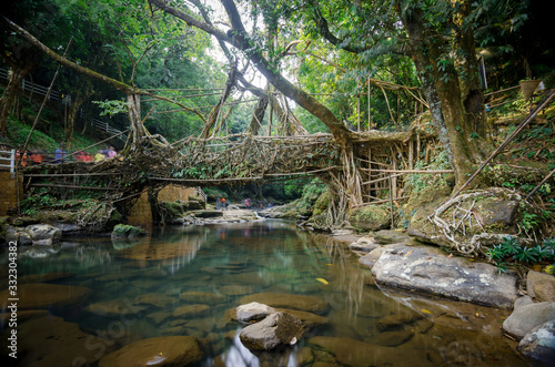 Living root bridge near Mawlynnong