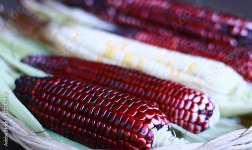 Waxy corn or glutinous corn on wood background. photo