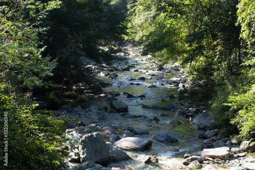 boulder strewn creek in giant panda habitat china photo