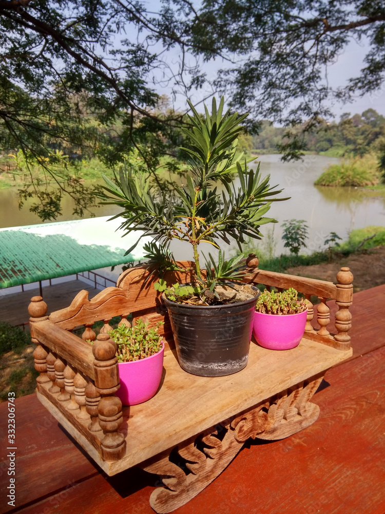 Small wooden chair With ornamental plants Use as a decorative with blurred background Small wooden chair With ornamental plants Use as a decorative with blurred background
