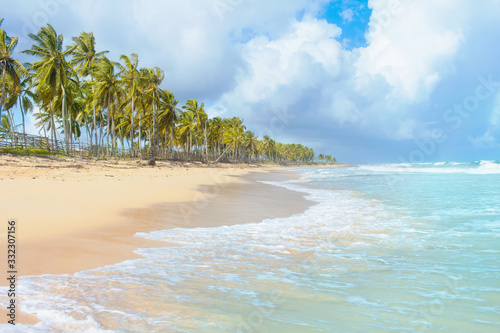 Fototapeta Naklejka Na Ścianę i Meble -  Coconut Palm trees and blue water on white sand, beach in Caribbean sea, Playa Macao. Dominican Republic.