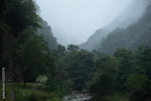 misty forests in chinese mountains sichuan province