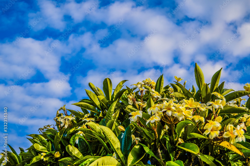 The shades of New Caledonia & Family times The shades of New Caledonia & Family times