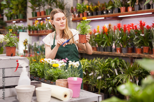 Female florist working in a flower store, making houseplants ready for the customer