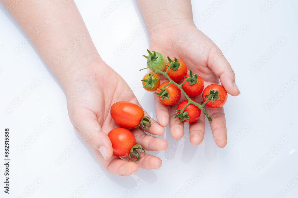 Woman holding tomatoes with ripe cherry tomatoes at table. Woman holding tomatoes with ripe cherry tomatoes at table.