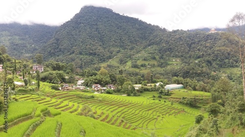 View of village landscape with scenic rice fields on hill terrace in Sikkim, organic farming