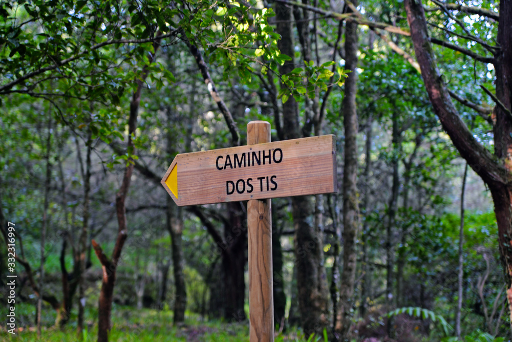sign in forest