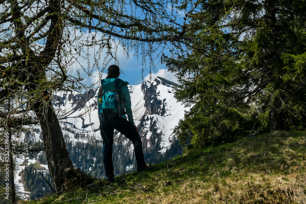 A woman in hiking outfit standing between trees and enjoying the Alpine landscape, while hiking to the Himmeleck peak. High mountains covered with snow. Early spring in Alps. Freedom and adventure A woman in hiking outfit standing between trees and enjoying the Alpine landscape, while hiking to the Himmeleck peak. High mountains covered with snow. Early spring in Alps. Freedom and adventure