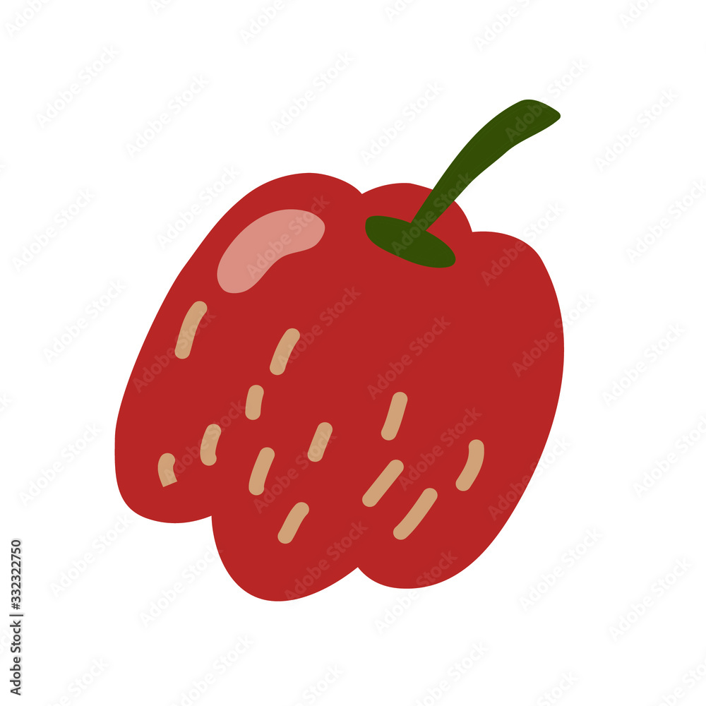 Fototapeta premium Pepper. Red pepper. Vector illustration of pepper. Vector illustration