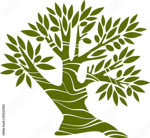 Olive tree series