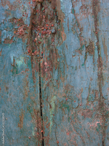 wooden old vintage surface with peeling blue paint