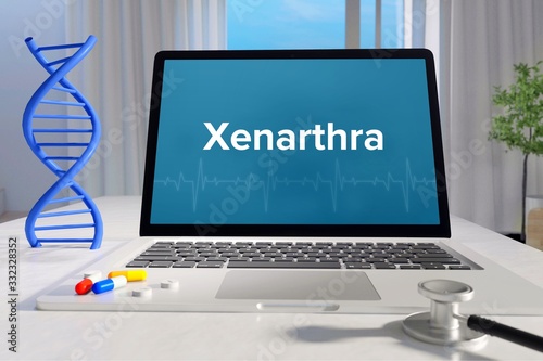 Xenarthra – Medicine/health. Computer in the office with term on the screen. Science/healthcare